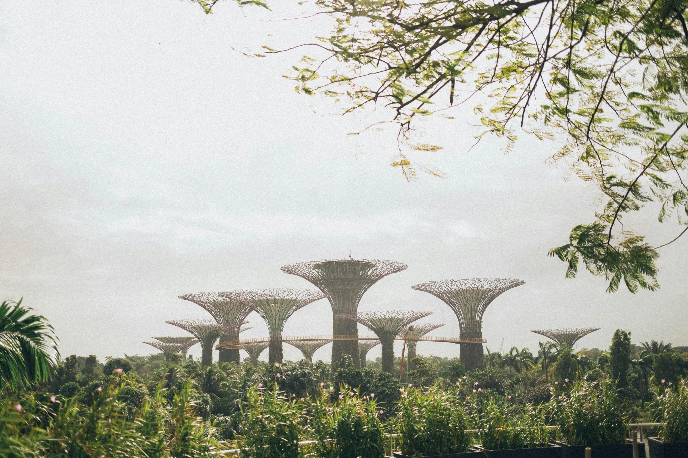 Asie - Image 1