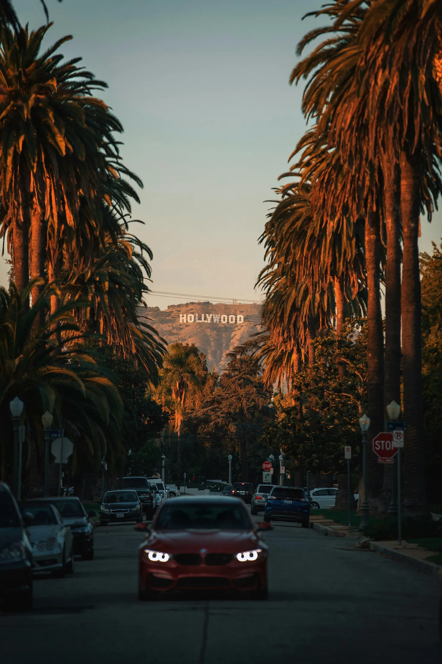 États-Unis - Image 3