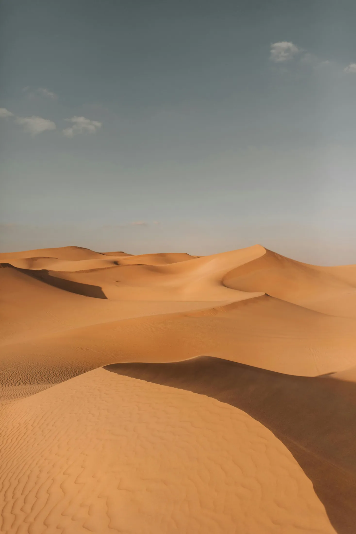 Moyen-Orient - Image 2